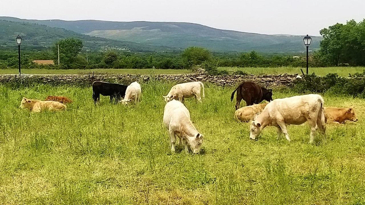 Casa Rural El Remolon Pinuecar Dış mekan fotoğraf