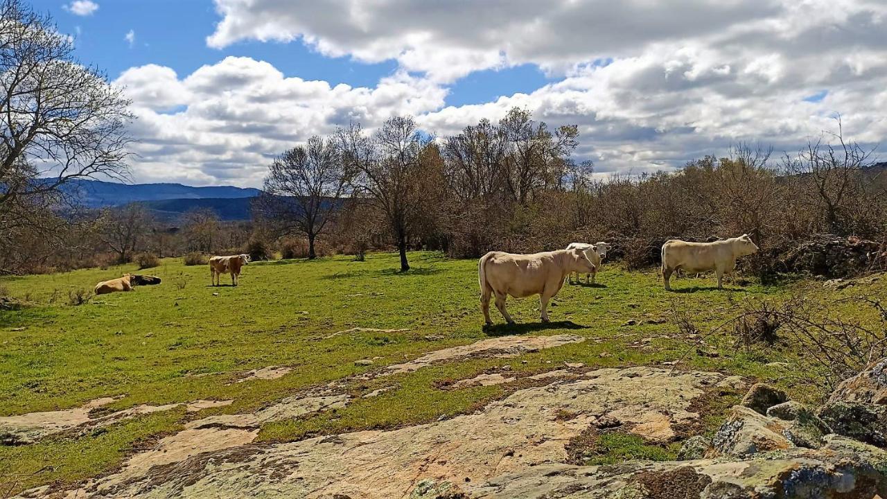 Casa Rural El Remolon Pinuecar Dış mekan fotoğraf