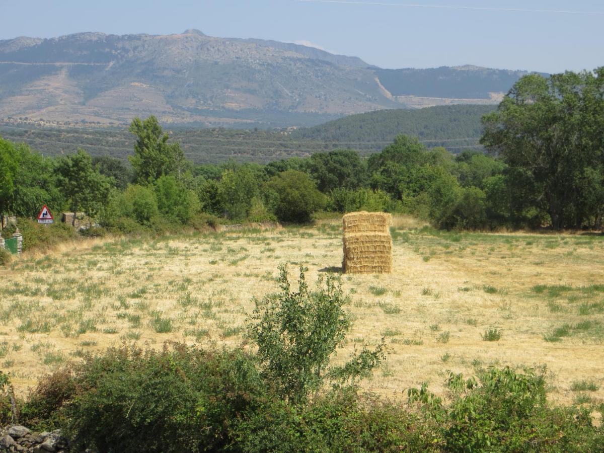 Casa Rural El Remolon Pinuecar Dış mekan fotoğraf